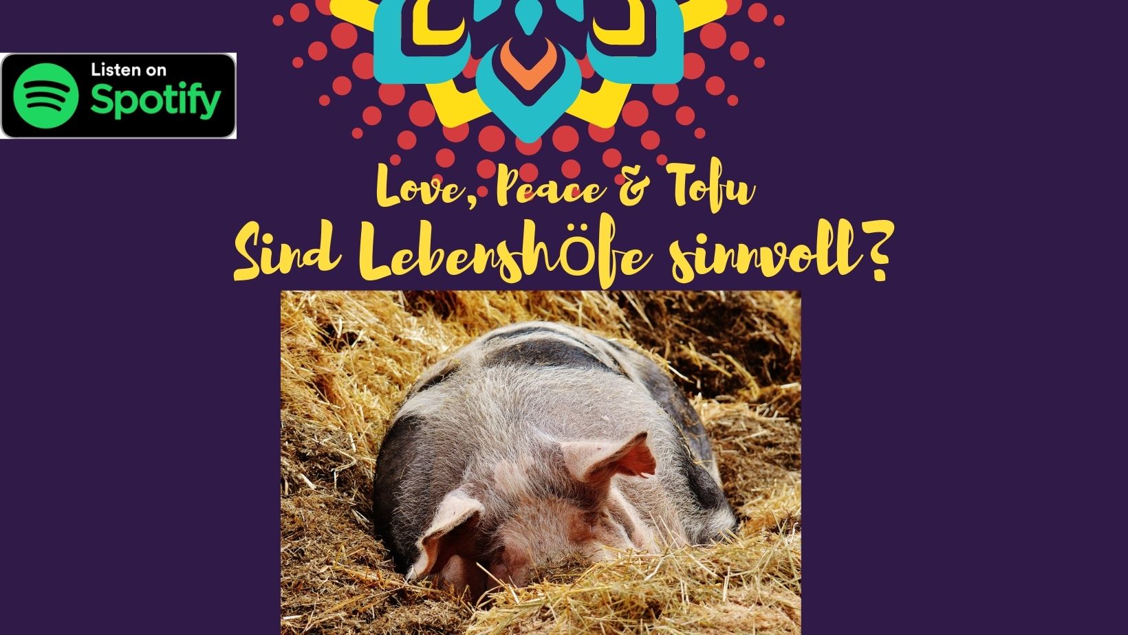 Sind Lebenshöfe sinnvoll? – Alle Geschichten