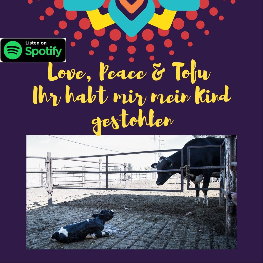 Kuh steht hinter einem Gitter und sieht traurig auf ihr dahinterliegendes Baby.