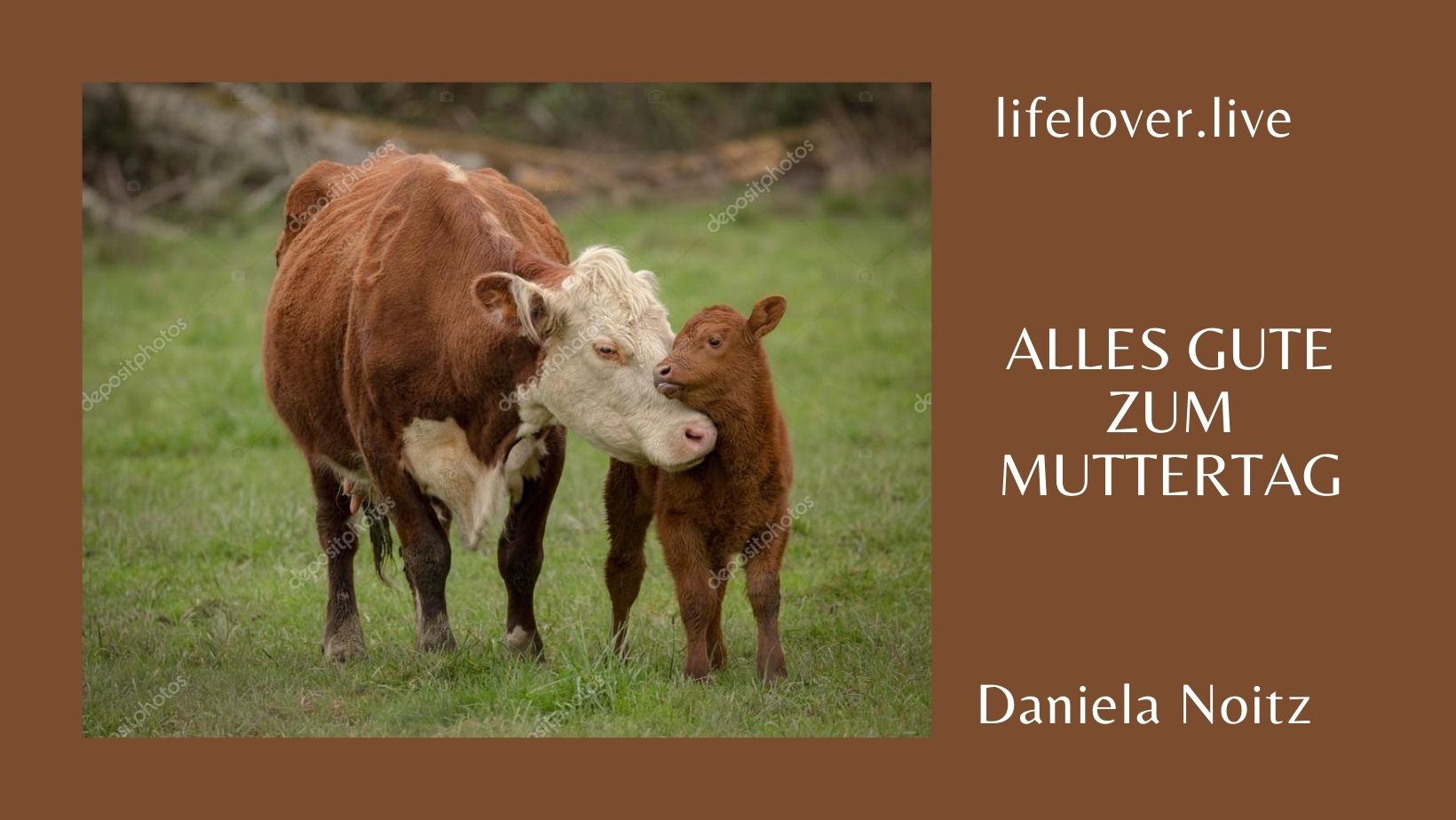 Alles Gute zum Muttertag – Aktivismus