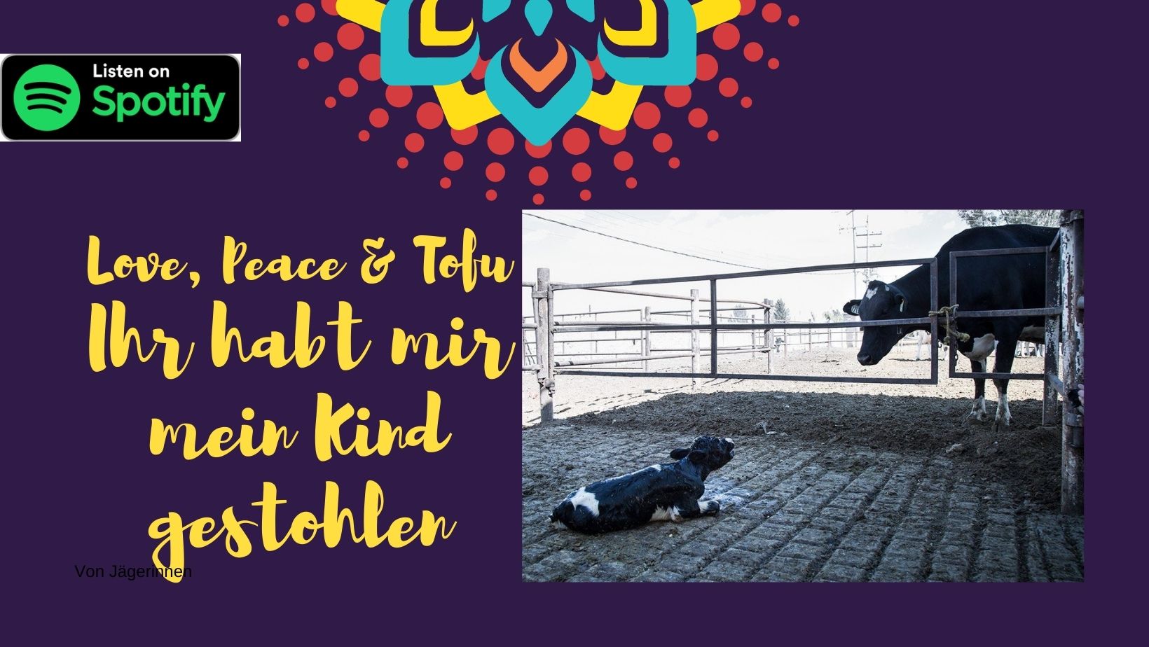 Ihr habt mir mein Kind gestohlen – Alle Geschichten