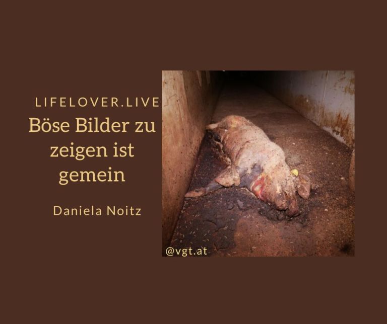 Böse Bilder zu zeigen ist gemein – Aktivismus