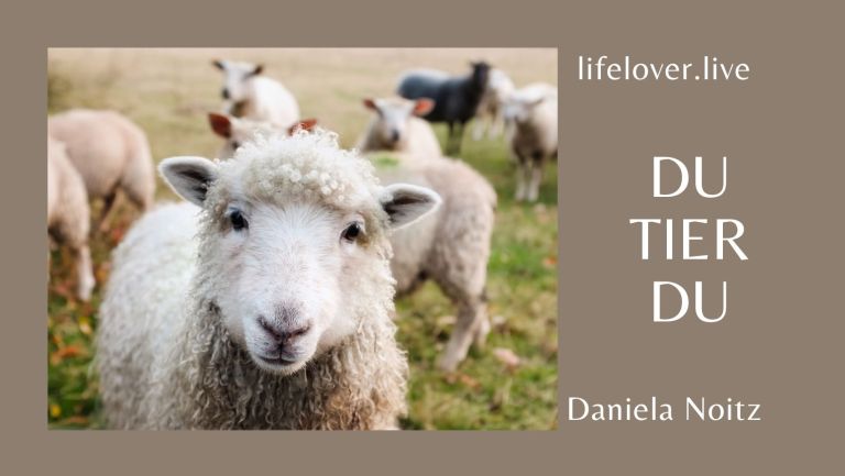 du tier du – Aktivismus