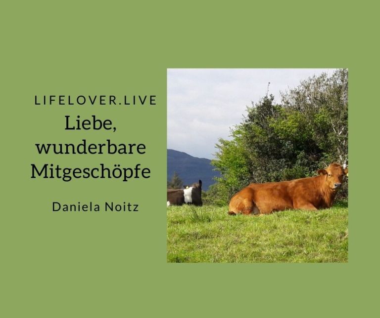 Liebe, wunderbare Mitgeschöpfe – Alle Geschichten