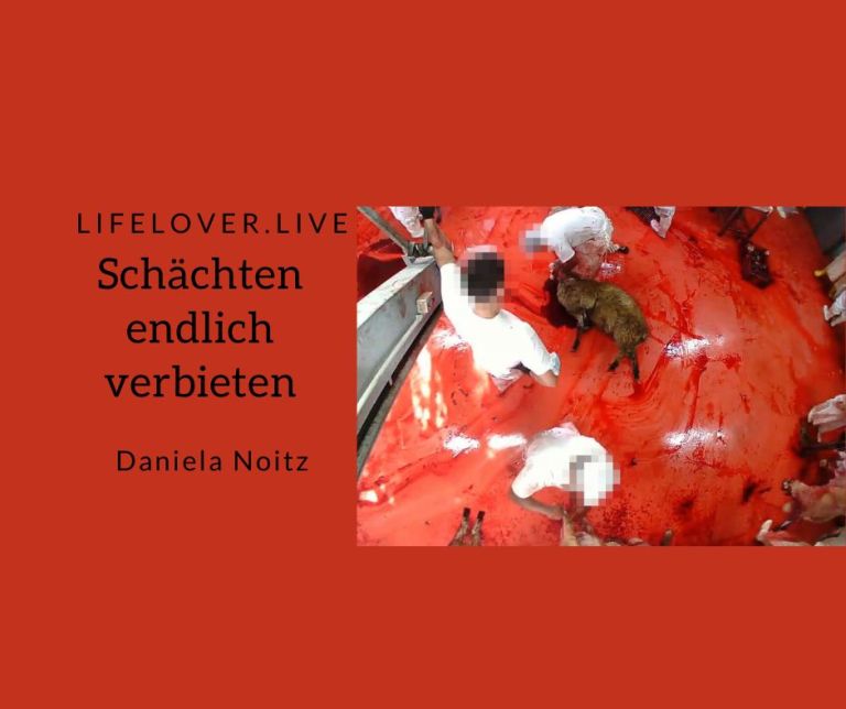 Schächten endlich verbieten – Aktivismus