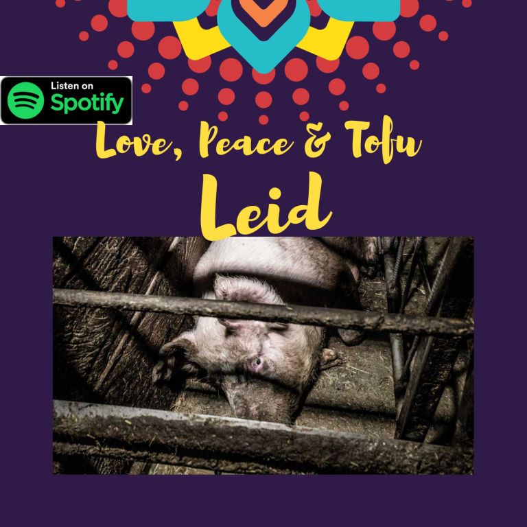 Leid – Alle Geschichten