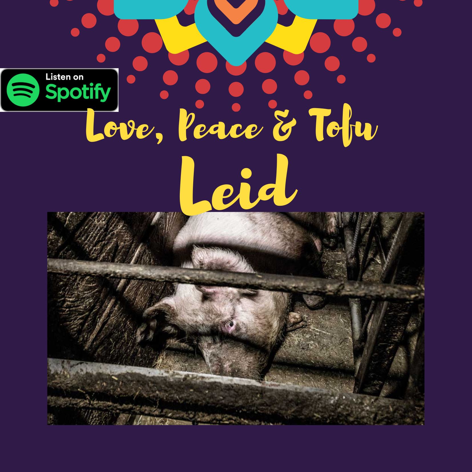 Leid – Alle Geschichten