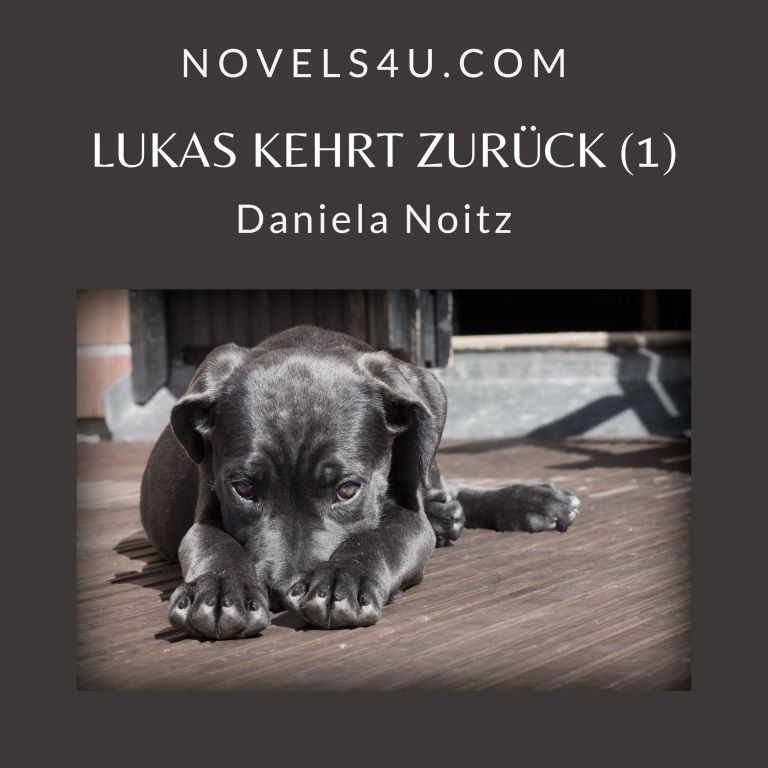 Lukas kehrt zurück (1) – Alle Geschichten