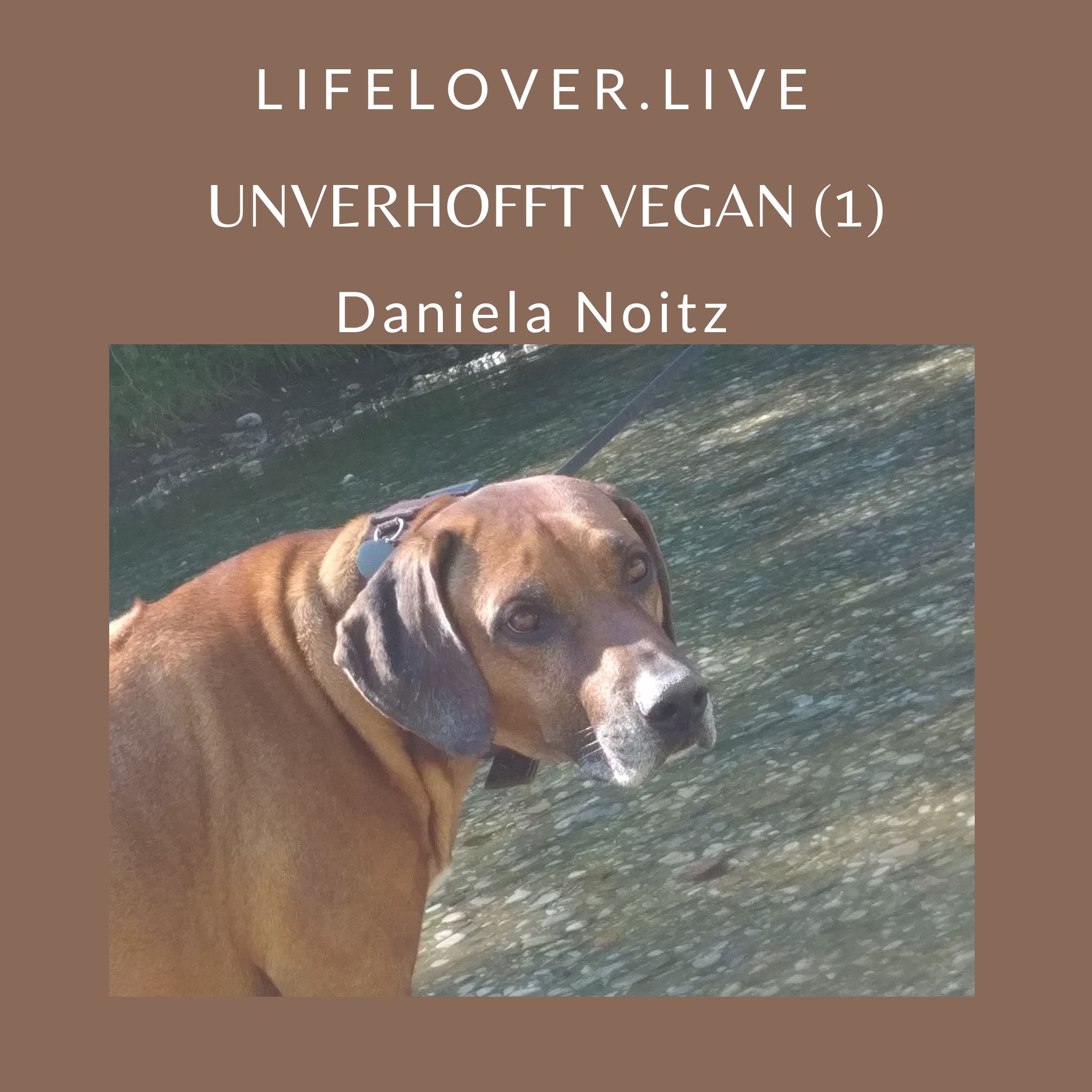 Unverhofft vegan (1) – Alle Geschichten
