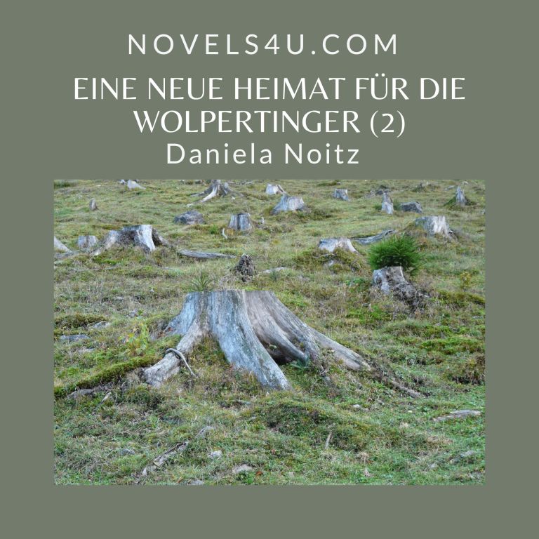 Novels4u.com – Literatur & Geschichten