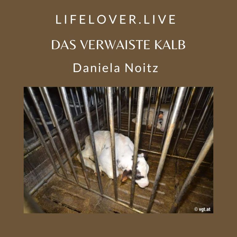 Novels4u.com – Literatur & Geschichten