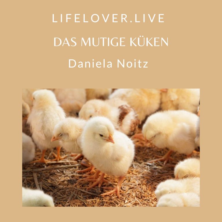 Das mutige Küken – Alle Geschichten