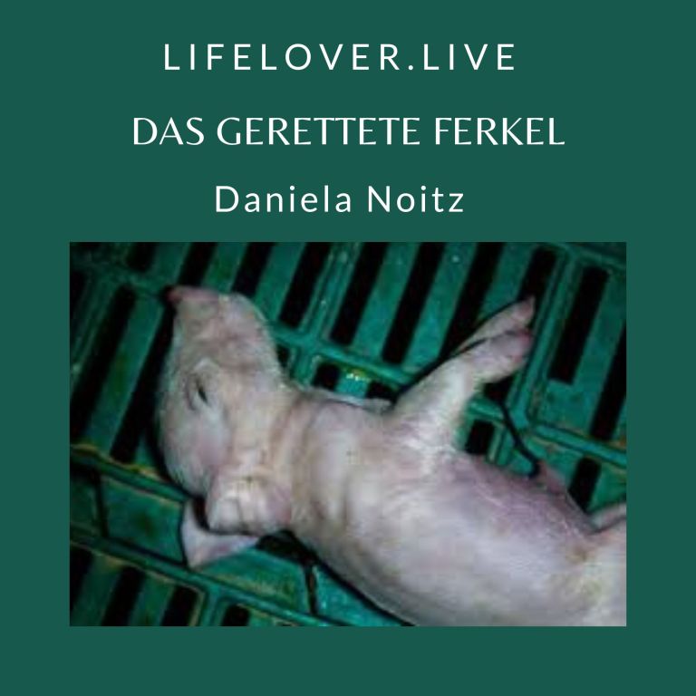 Das gerettete Ferkel – Alle Geschichten