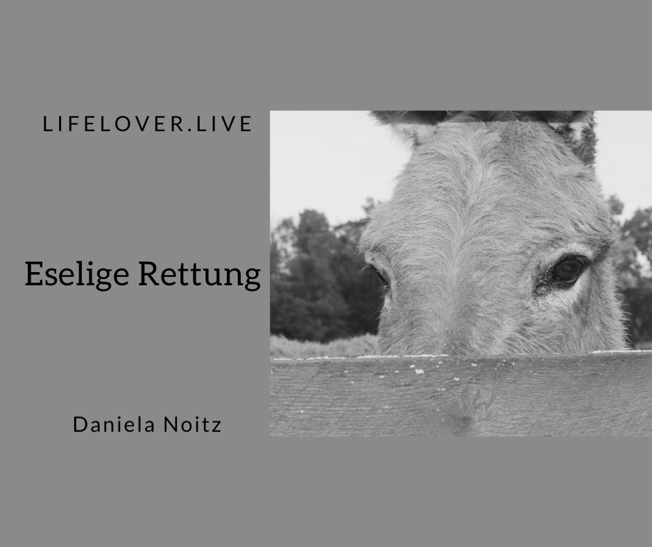 Eselige Rettung – Alle Geschichten