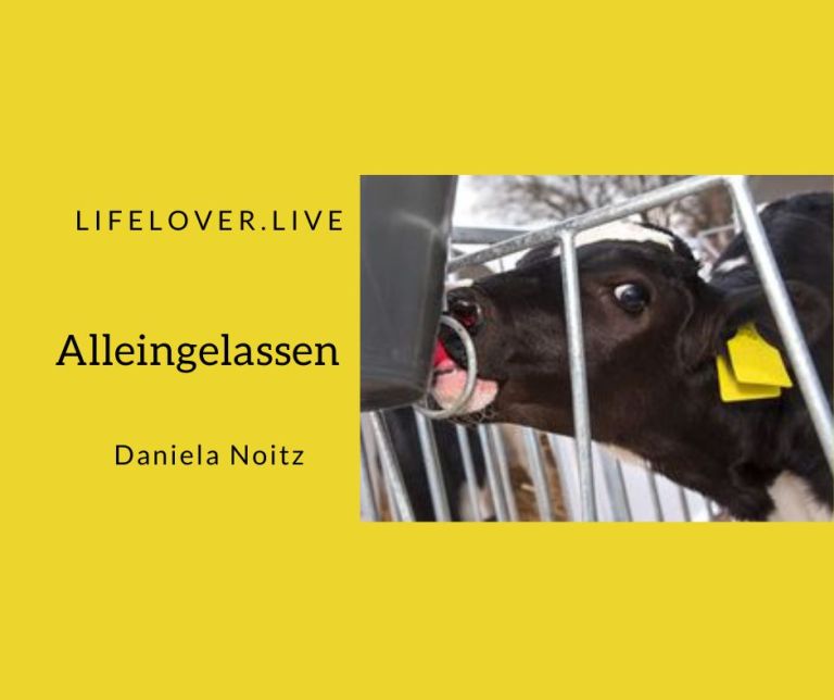 Alleingelassen – Alle Geschichten