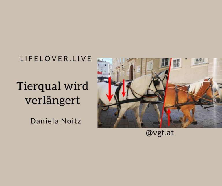 Tierqual wird verlängert – Aktivismus