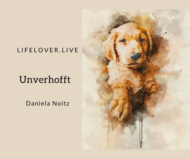 Novels4u.com – Literatur & Geschichten