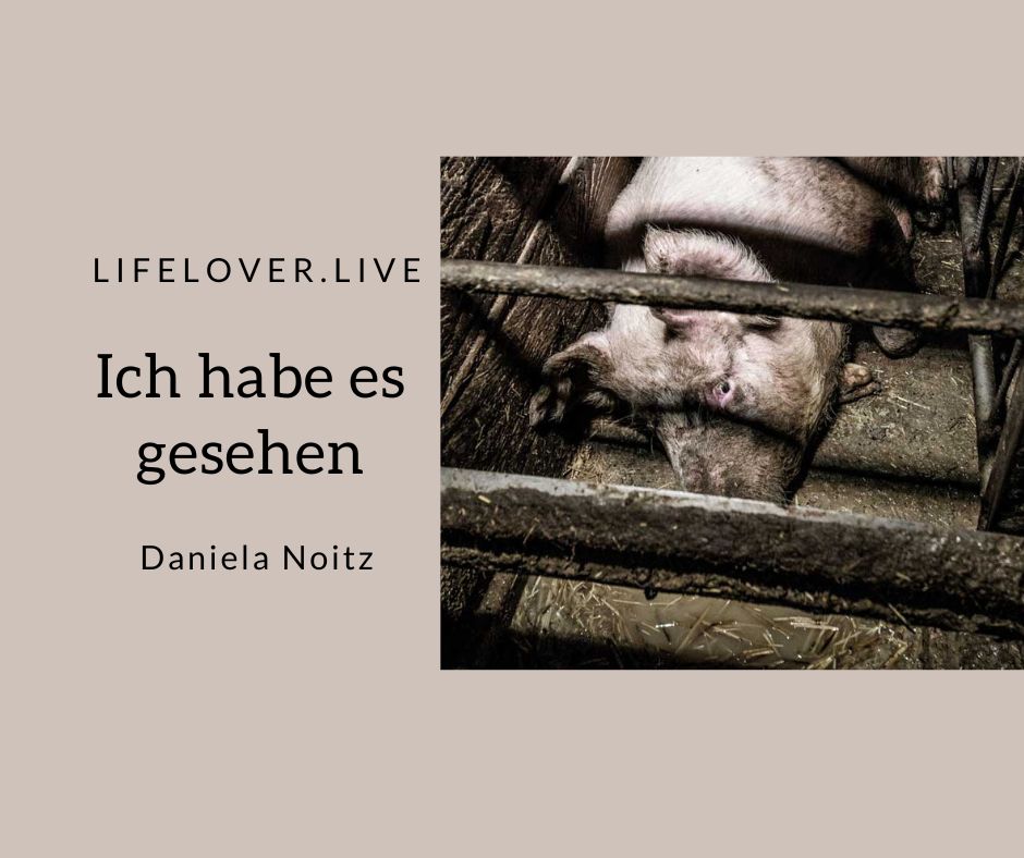 Ich habe es gesehen – Aktivismus