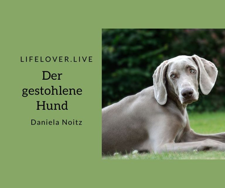 Der gestohlene Hund – Alle Geschichten