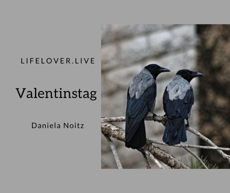 Valentinstag – Alle Geschichten