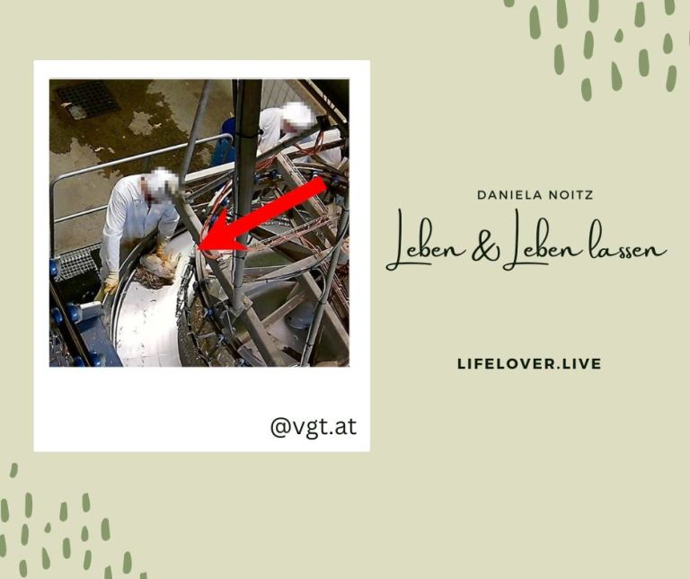 Leben & leben lassen – Aktivismus