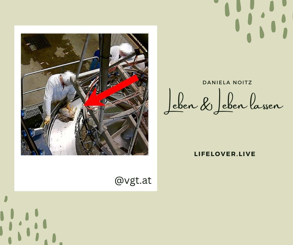 Leben & leben lassen – Aktivismus