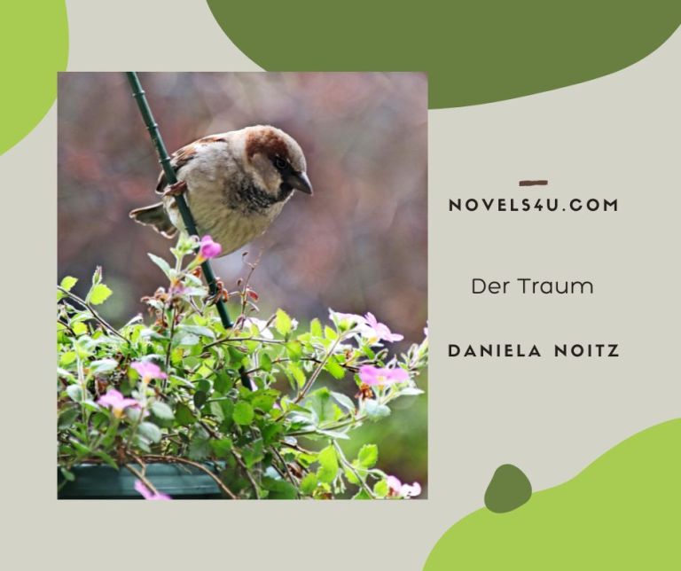 Der Traum – Alle Geschichten