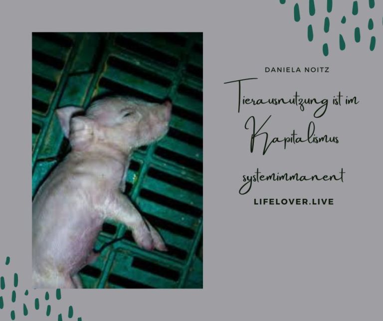 Tierausnutzung ist im Kapitalismus systemimmanent – Aktivismus