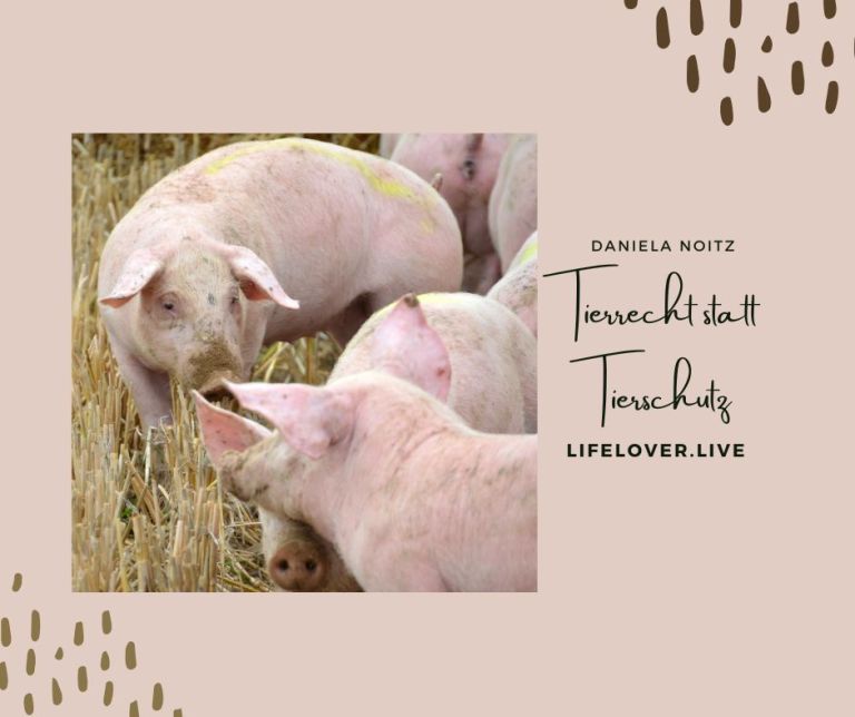 Tierrecht statt Tierschutz – Aktivismus