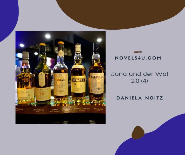 Novels4u.com – Literatur & Geschichten