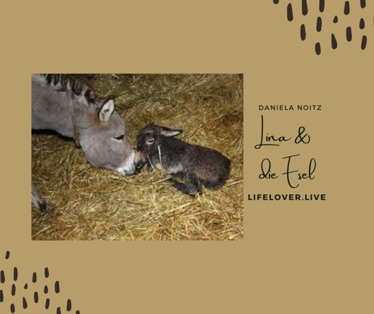 Lina & die Esel – Alle Geschichten