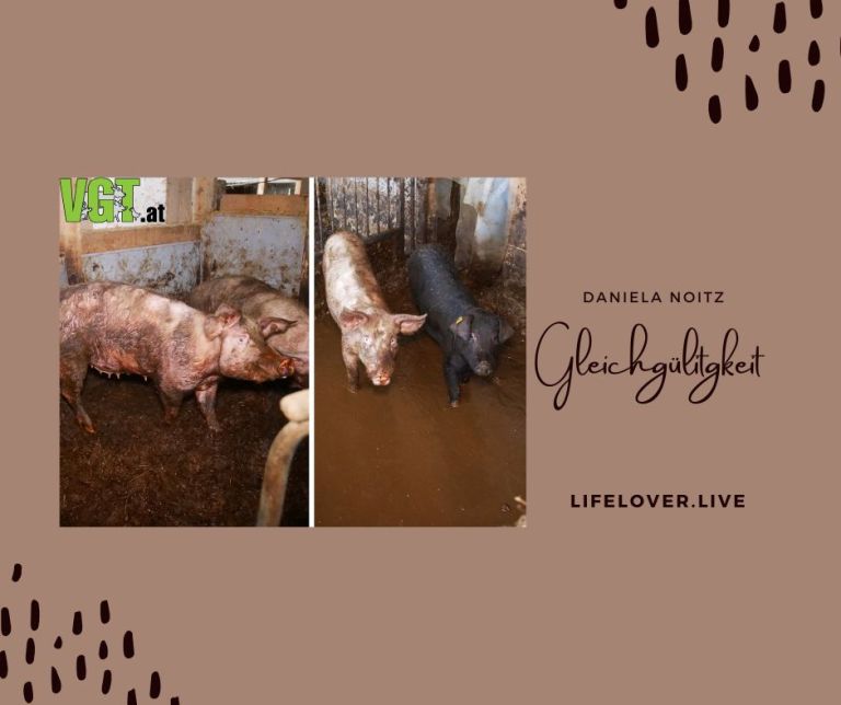 Gleichgültigkeit – Aktivismus