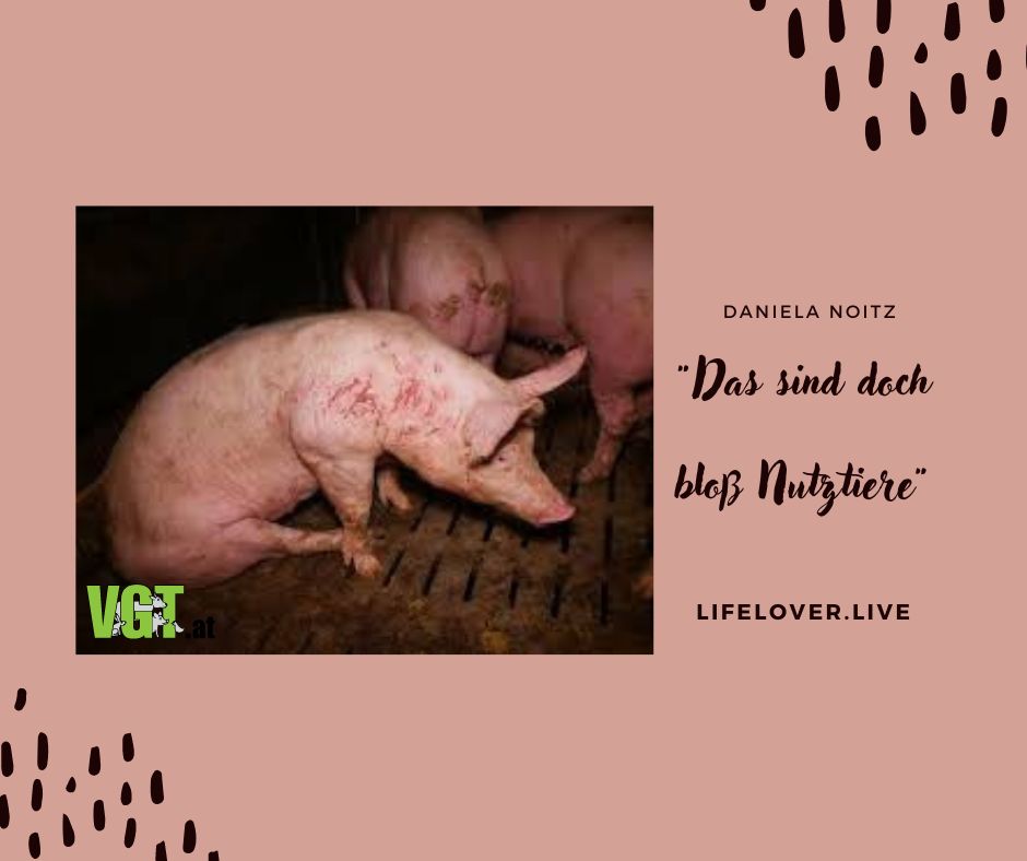 Novels4u.com – Literatur & Geschichten