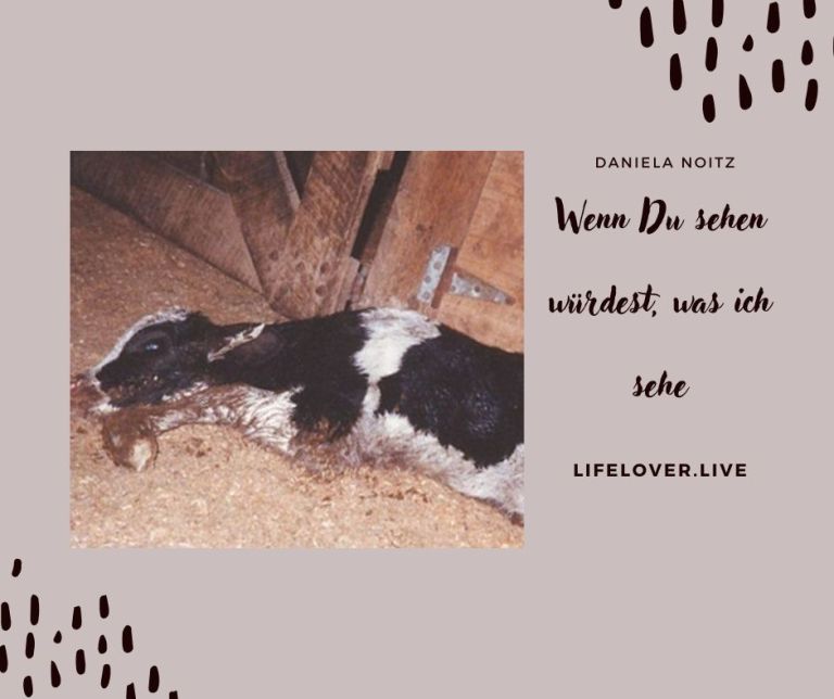 Wenn Du sehen würdest, was ich sehe – Aktivismus