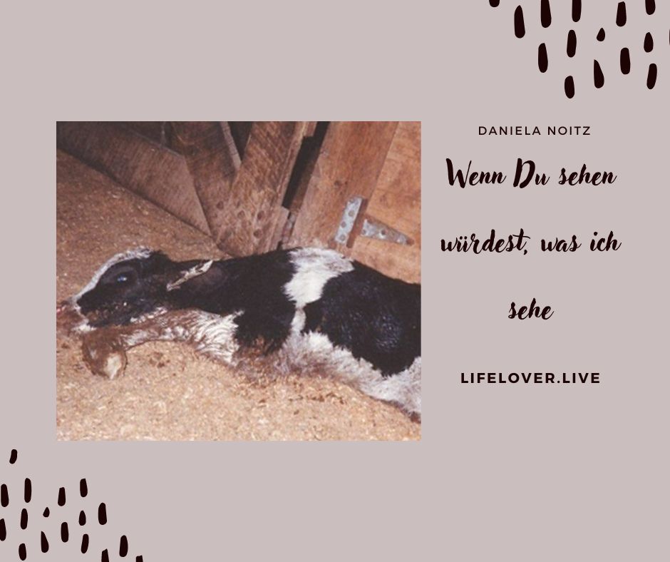 Wenn Du sehen würdest, was ich sehe – Aktivismus