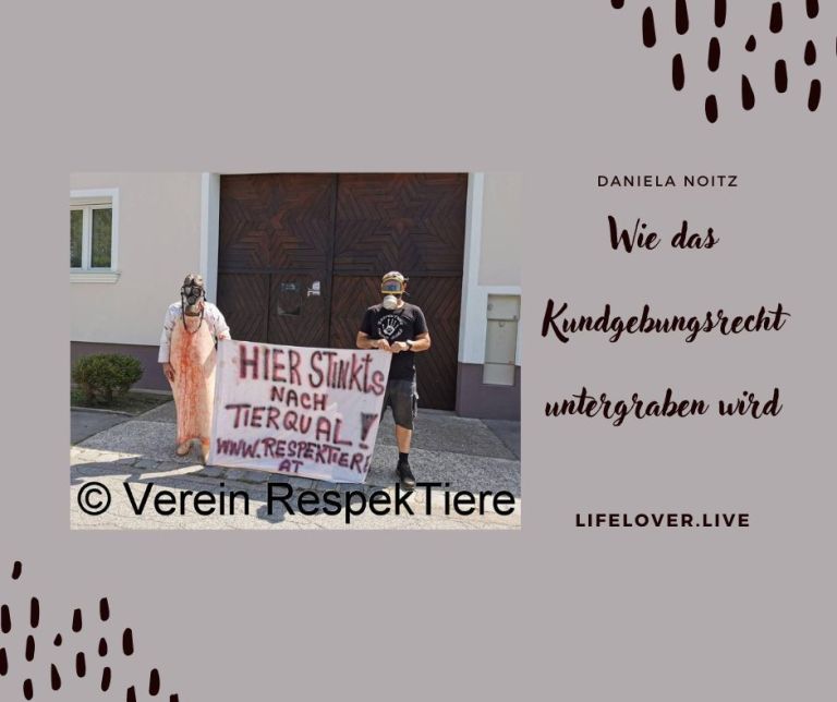 Wie das Kundgebungsrecht untergraben wird – Aktivismus