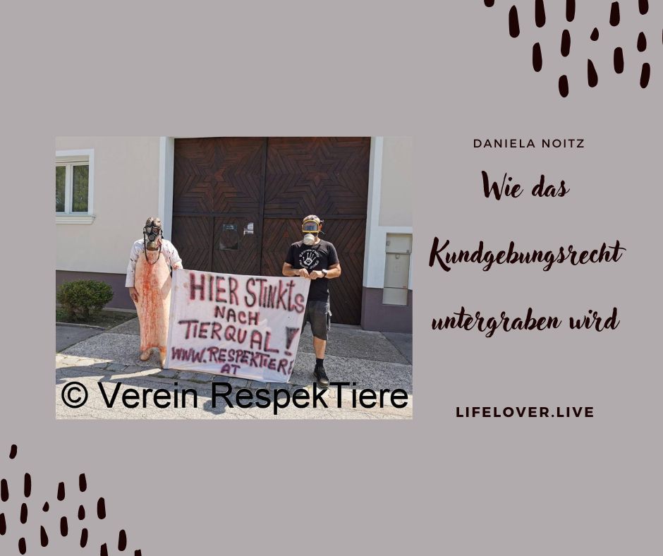 Wie das Kundgebungsrecht untergraben wird – Aktivismus