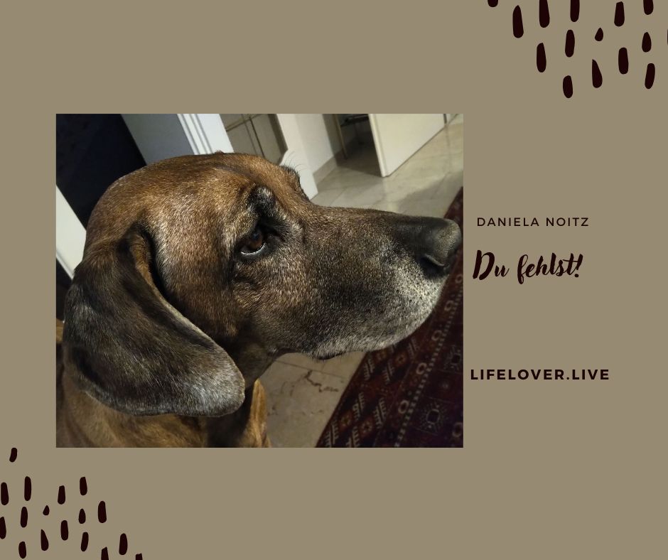 Du fehlst! – Alle Geschichten