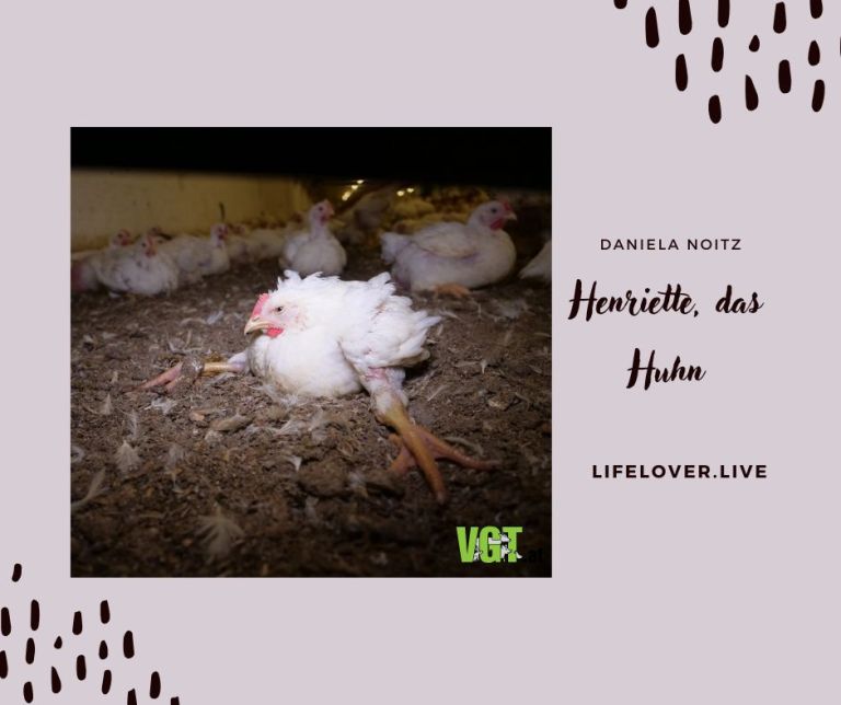 Henriette, das Huhn – Alle Geschichten