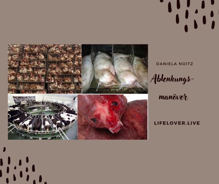 Ablenkungsmanöver – Aktivismus