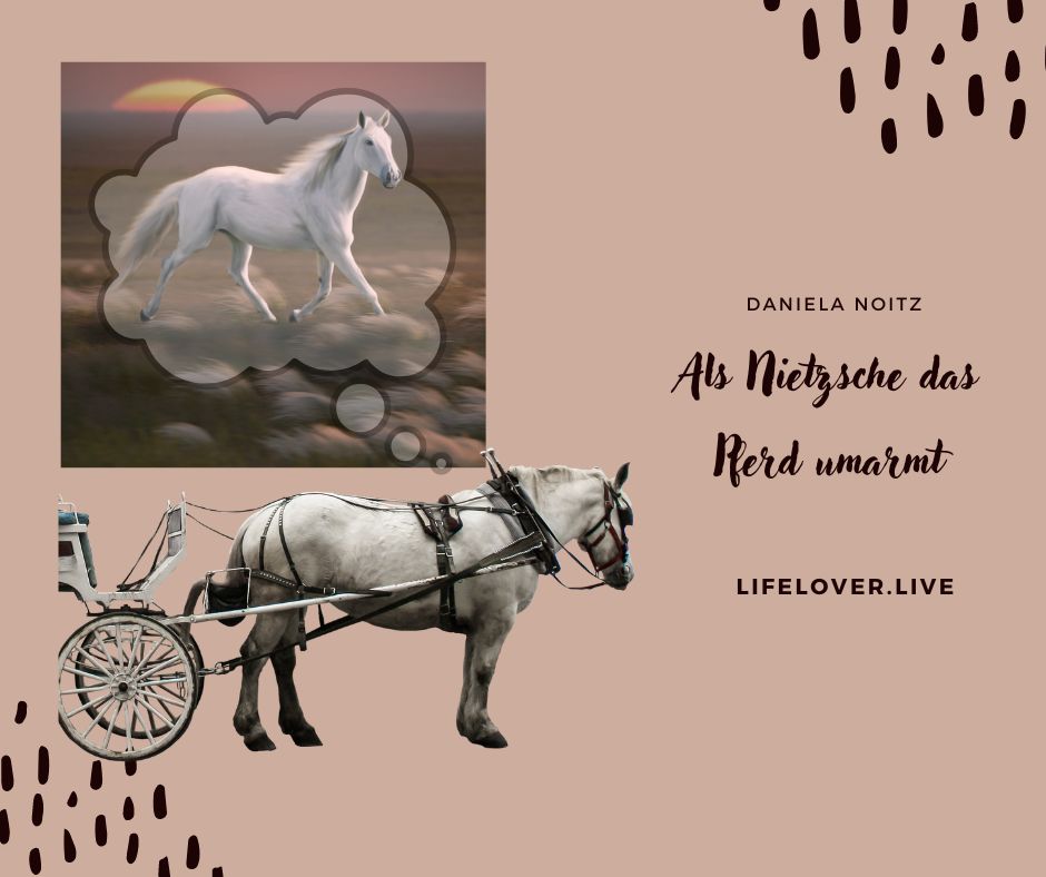 Novels4u.com – Literatur & Geschichten