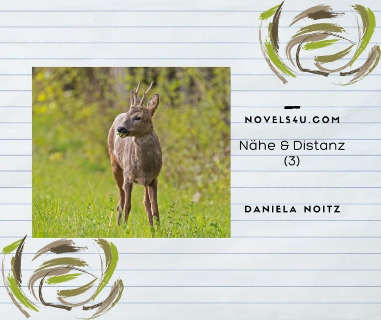 Nähe & Distanz (3) – Alle Geschichten