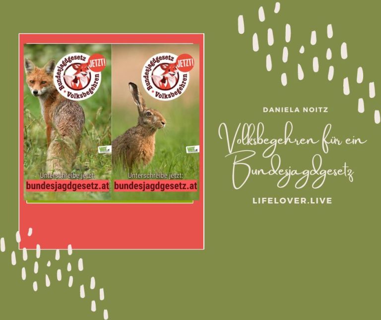 Volksbegehren für ein Bundesjagdgesetz – Alle Geschichten