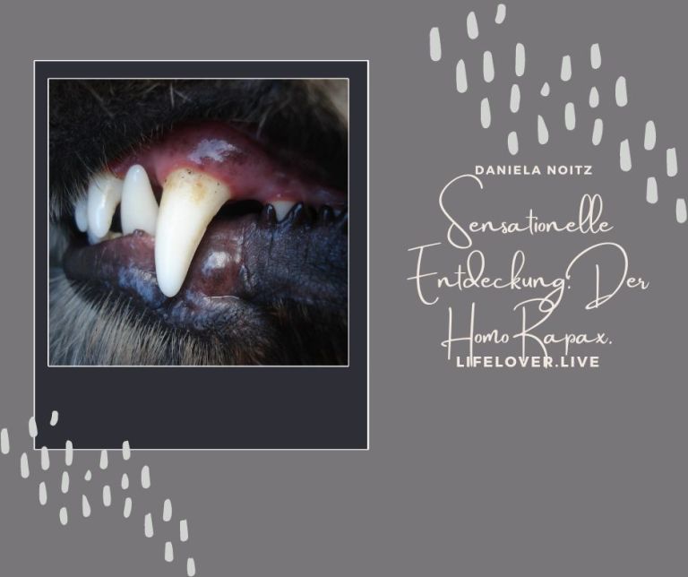 Sensationelle Entdeckung, der Homo Rapax – Alle Geschichten