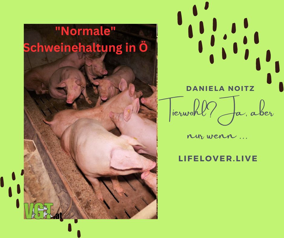 Tierwohl? Klar, aber nur wenn ... – Aktivismus