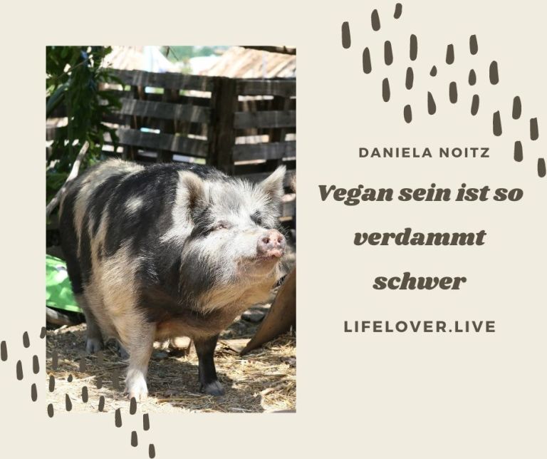 Vegan sein ist so verdammt schwer – Aktivismus