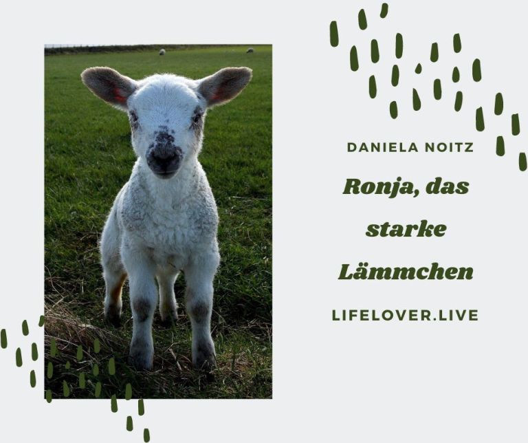 Ronja, das starke Lämmchen – Alle Geschichten