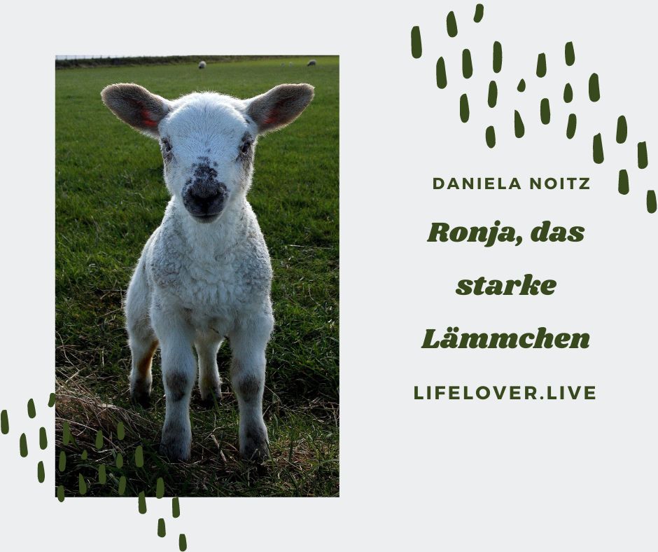 Ronja, das starke Lämmchen – Alle Geschichten
