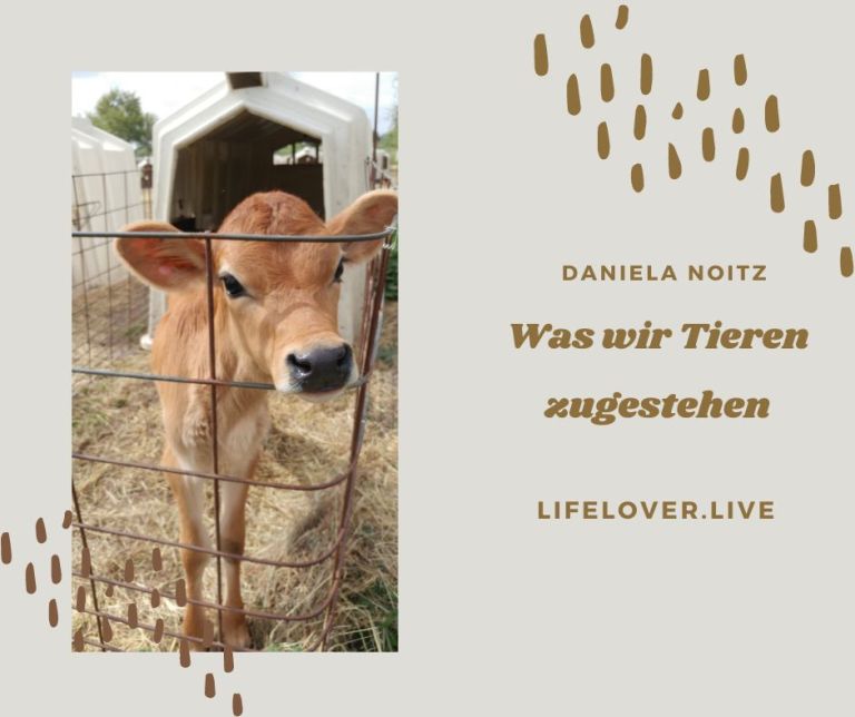 Was wir Tieren zugestehen – Aktivismus