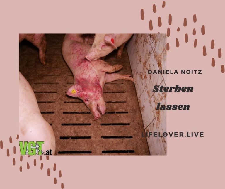 Novels4u.com – Literatur & Geschichten