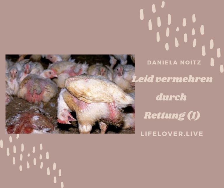 Leid vermehren durch Rettung (1) – Aktivismus